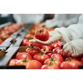 Tomato (17)-2771002-90164.webp